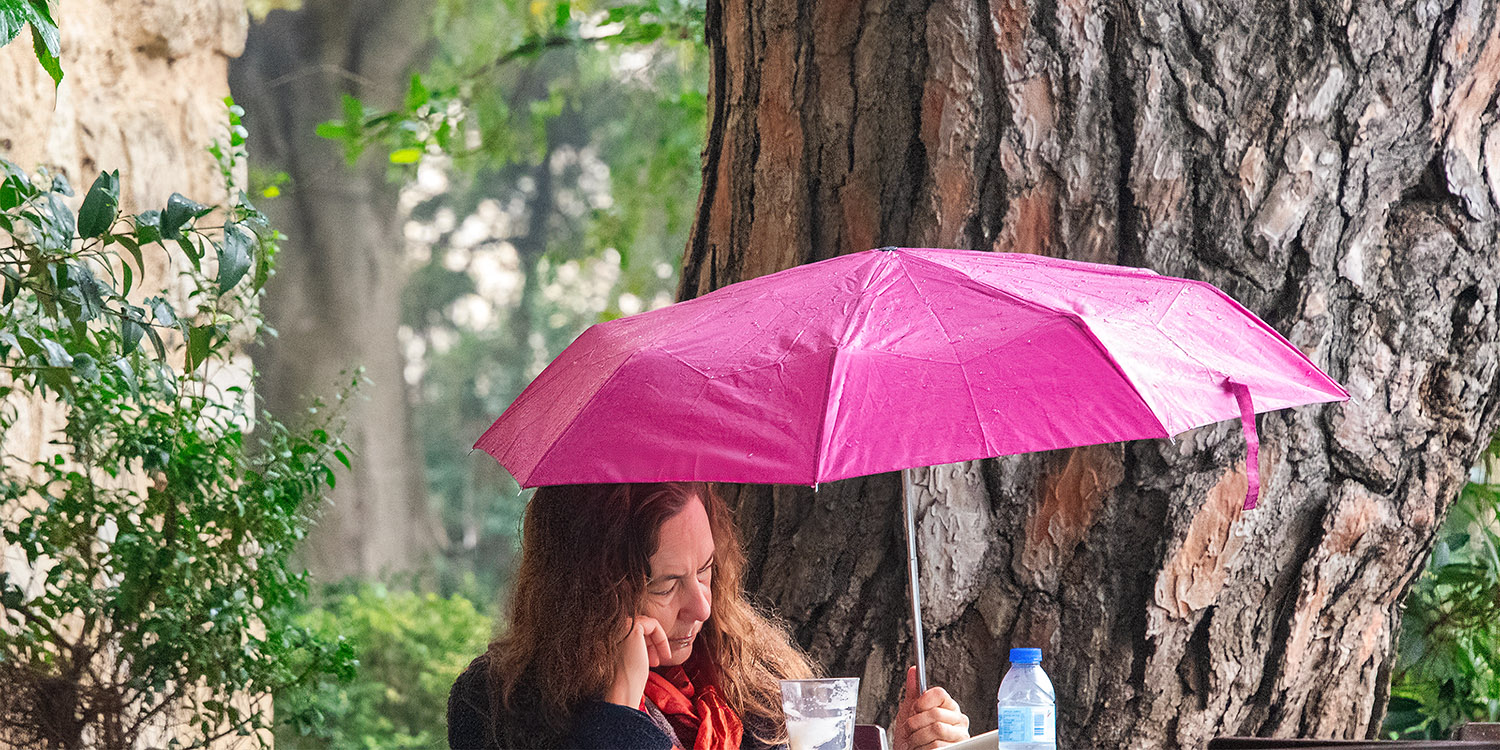 Reading in the Rain