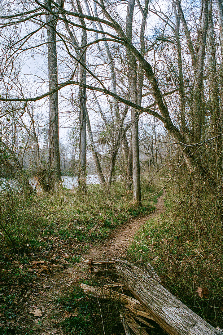 En longeant la rivière Haw