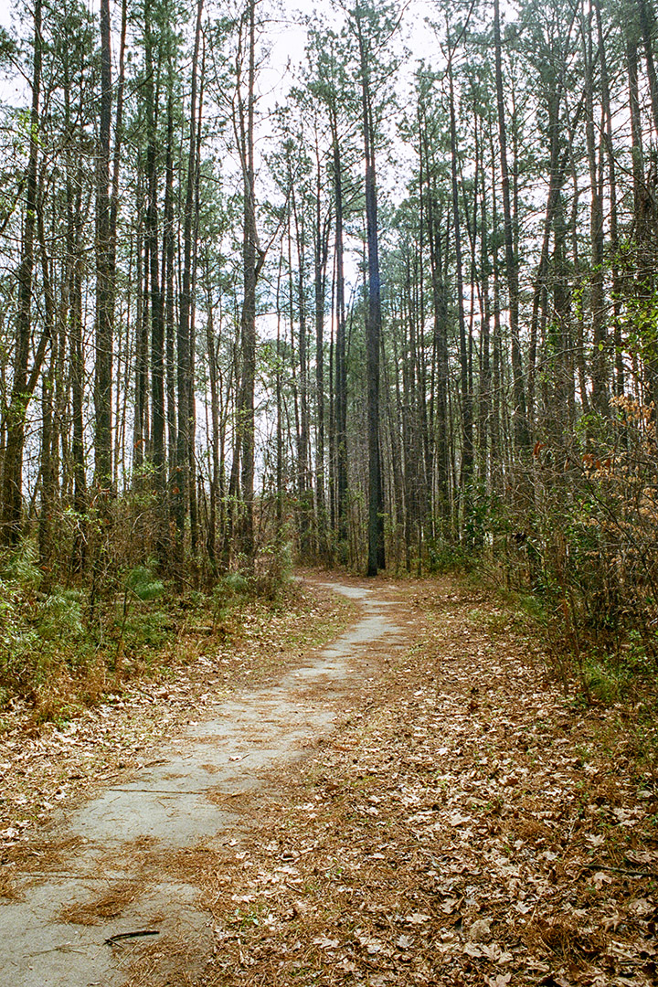 Neighborhood Trail