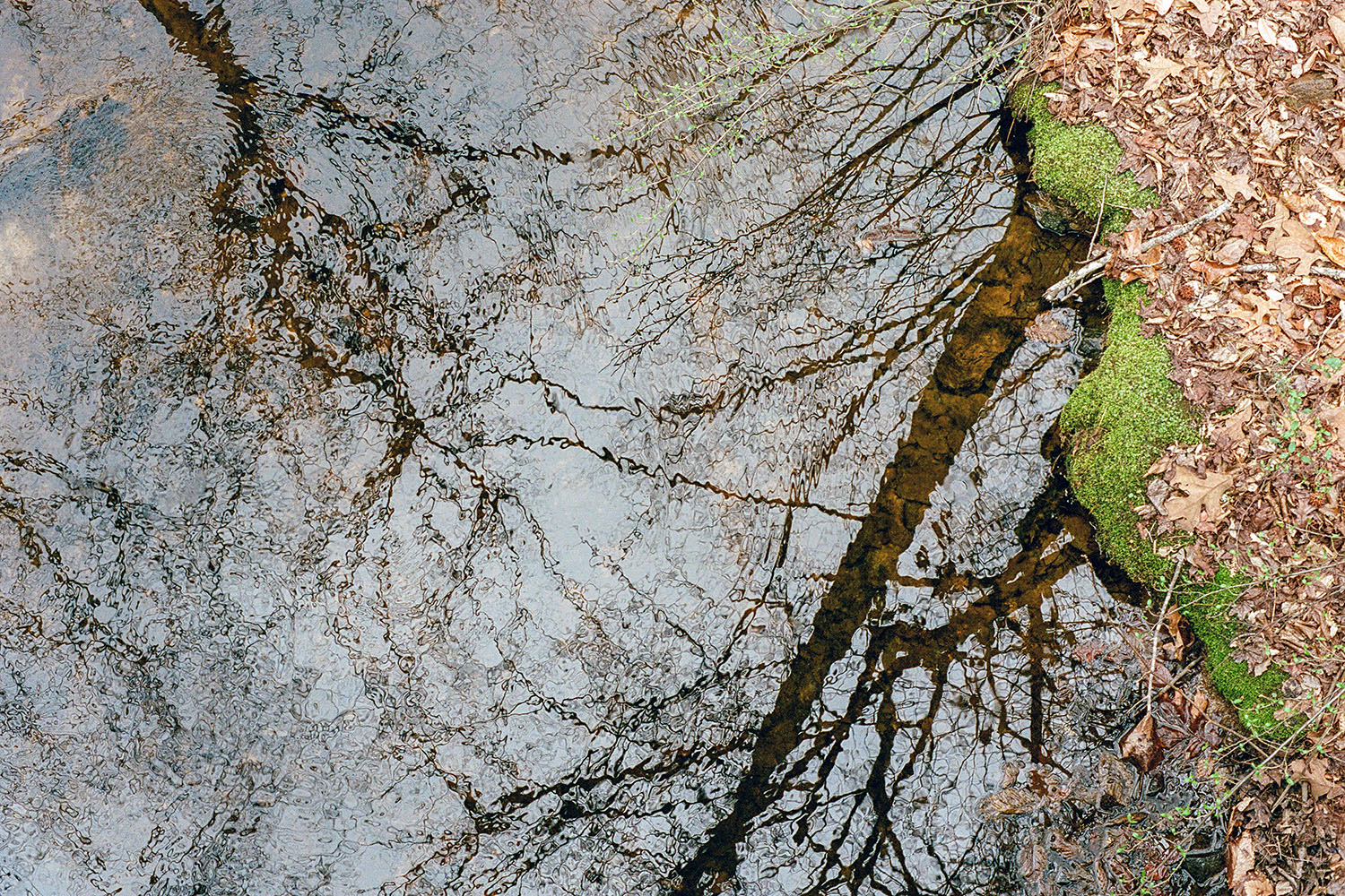 Neighborhood walk reflections