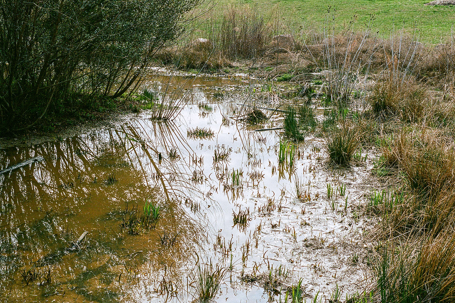 Biotope dans 'Southern Community Park'