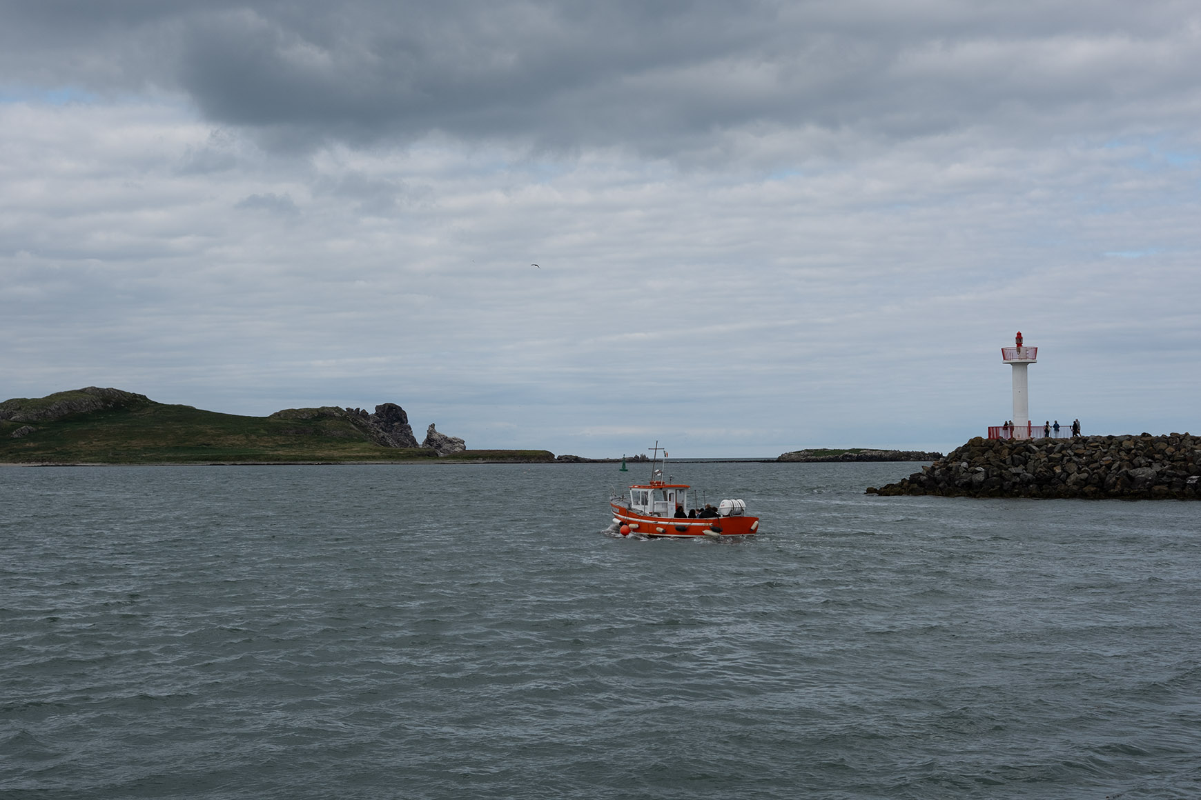 Before processing, Dublin Harbor at Howth, Ireland