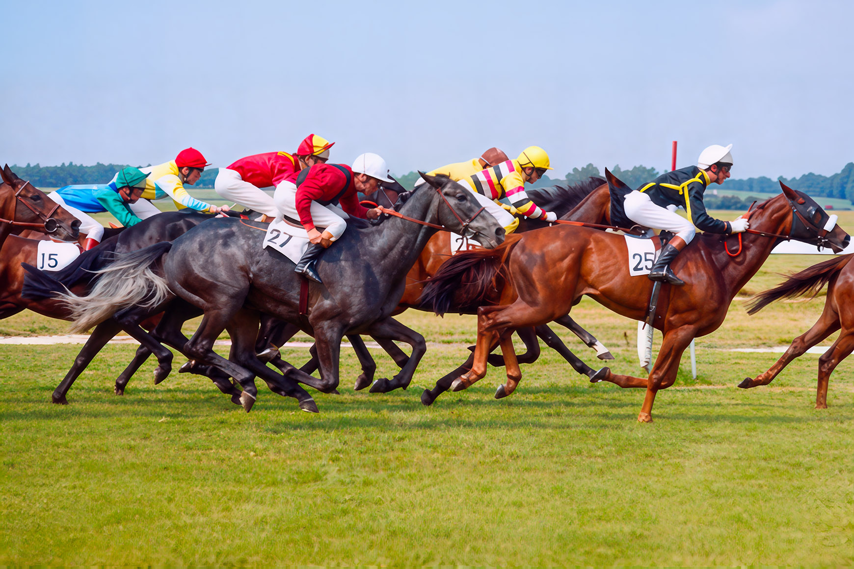 After processing, Horse races in Newmarket near Cambridge, England (1974)