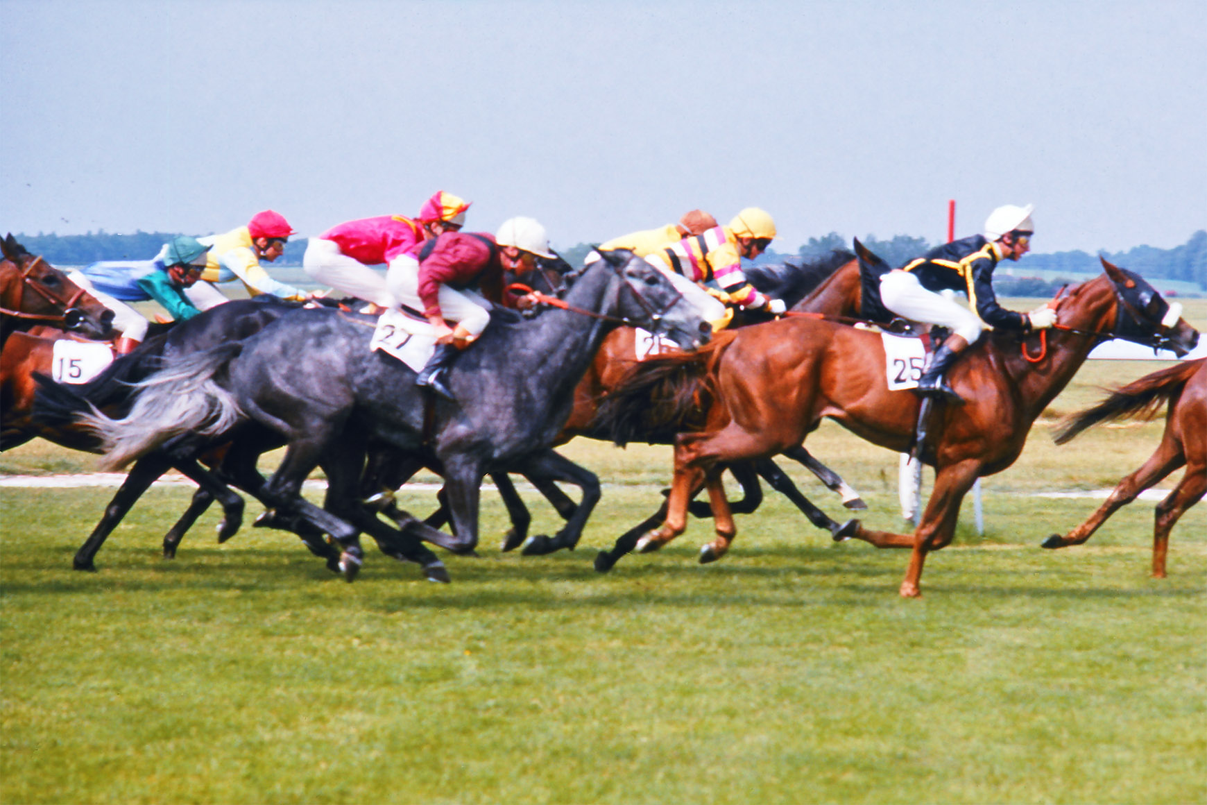 Before processing, Horse races in Newmarket near Cambridge, England (1974)