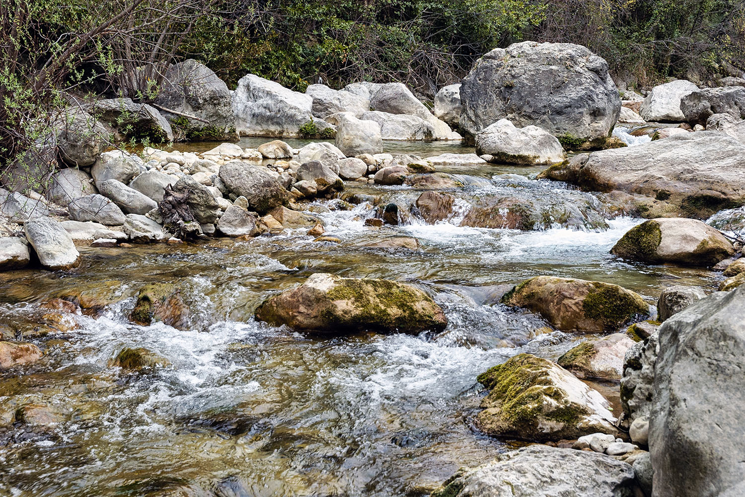 In the 'Gorges du Loup'