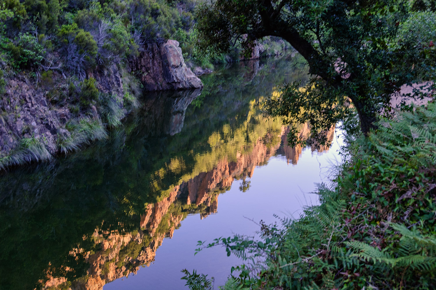 Early morning reflection in the Esterel