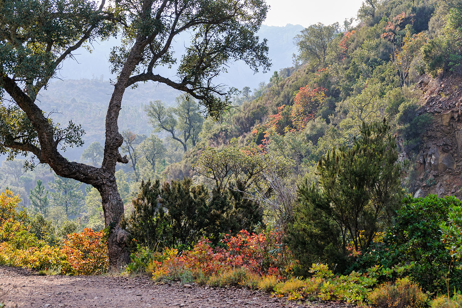 In the 'Mal Infernet' ravine