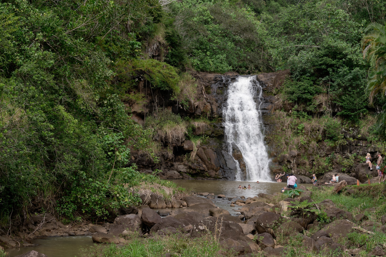 People enjoying Waimea Falls