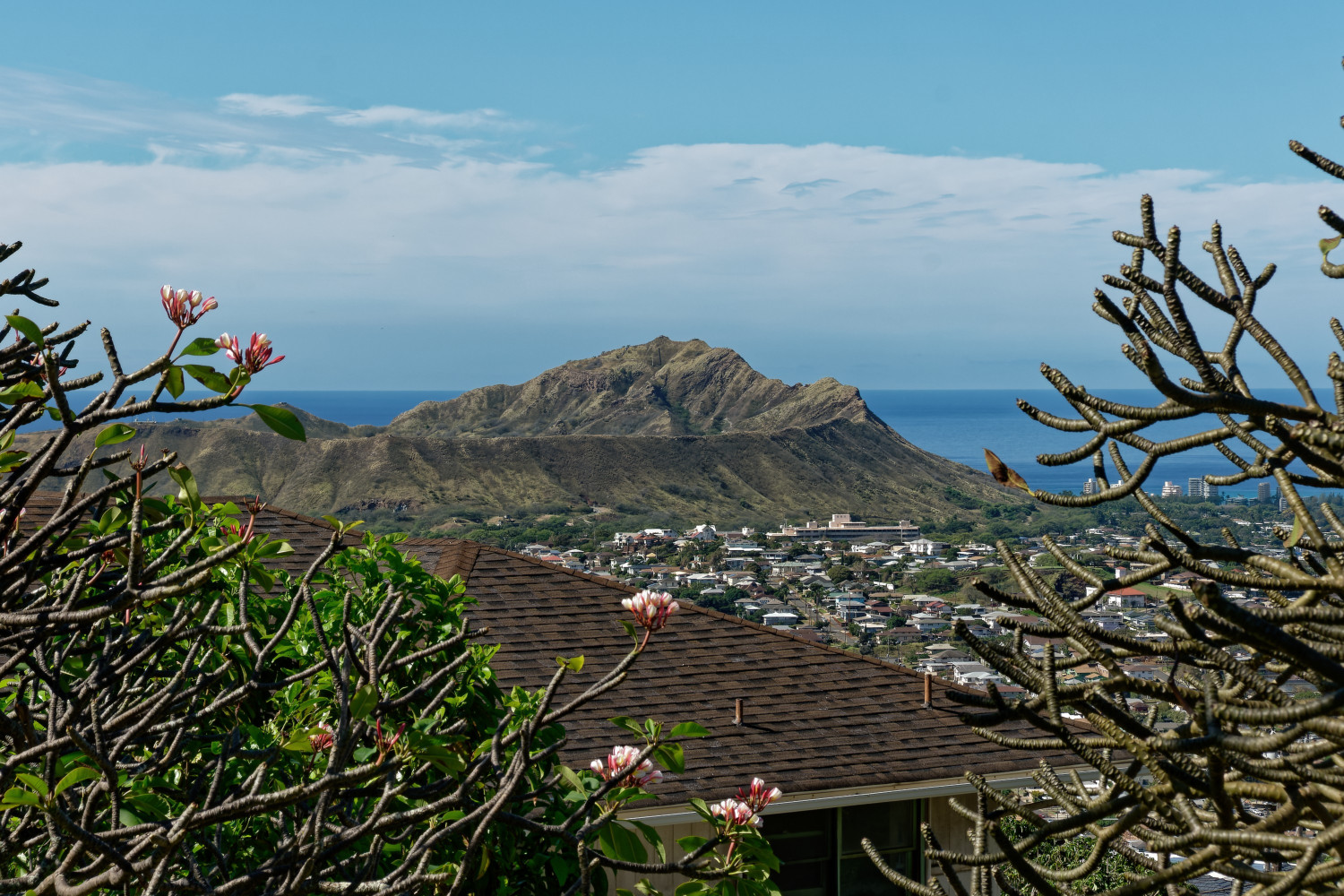 Diamond Head seen from Wilhelmina Rise