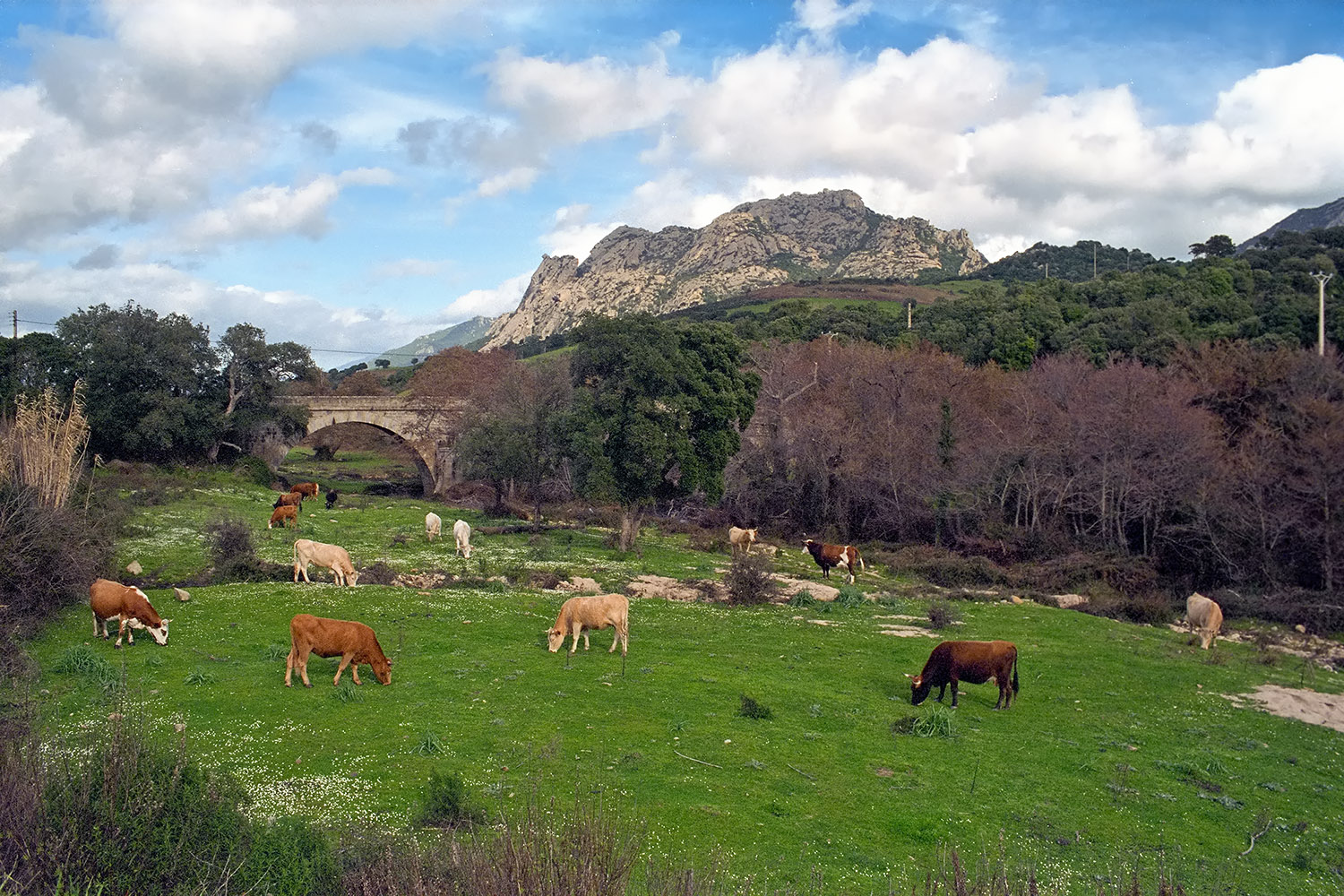 On the way to Sartène