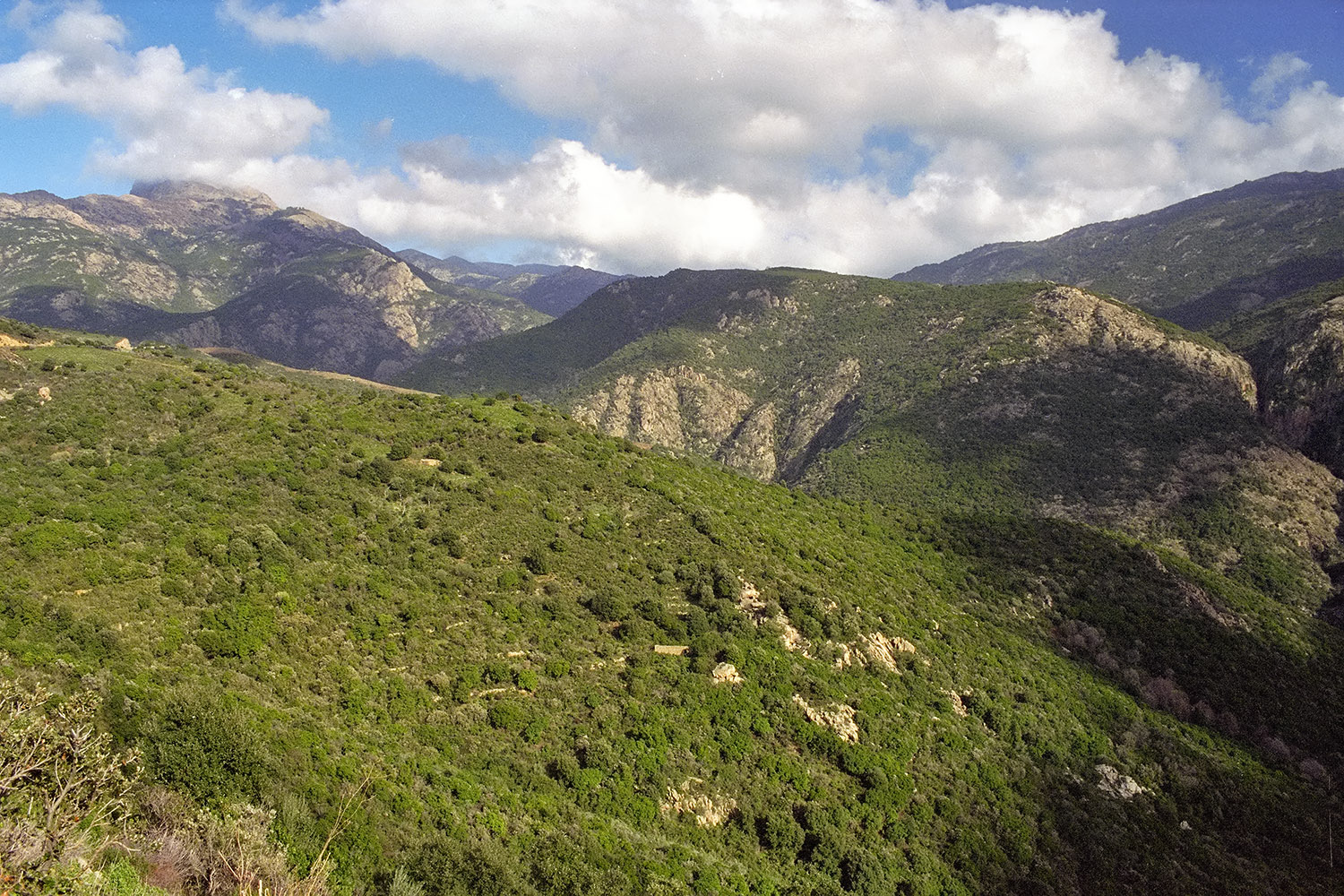 Looking into the mountains