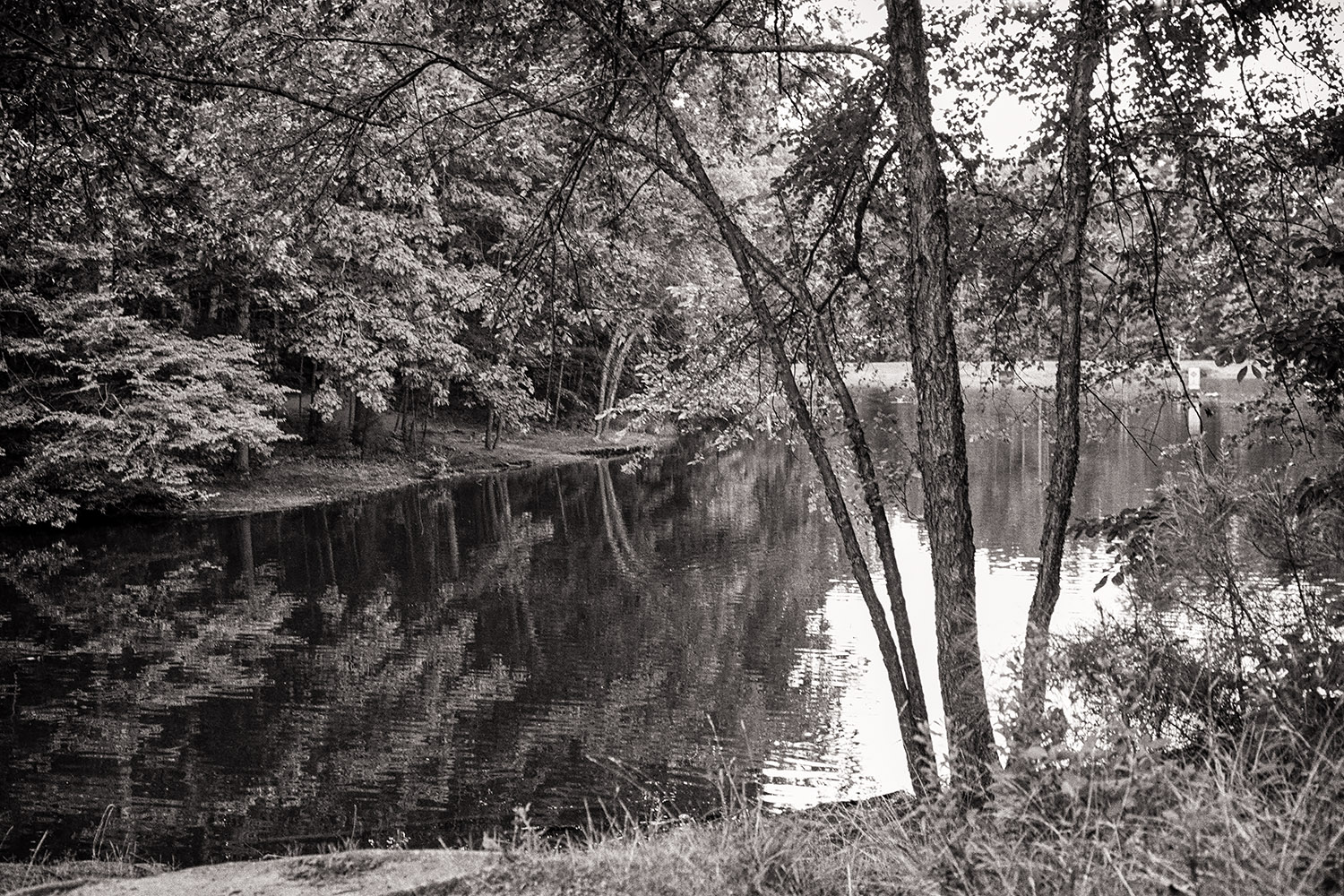 Anderson Community Park Lake