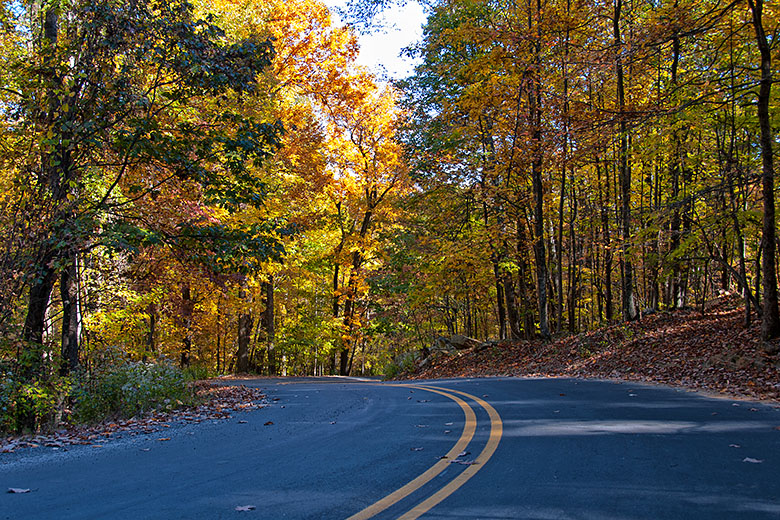 Pilot Mountain Road (780x520 displayed as 390x260)