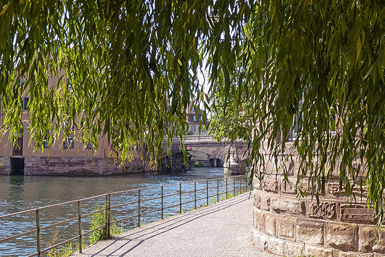 Walking along the canal