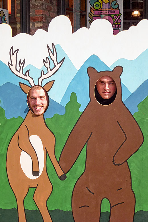 The deer and the bear