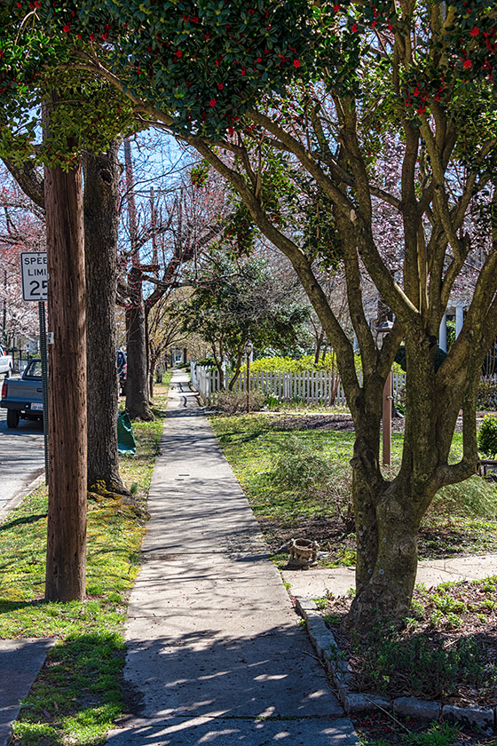 On College Avenue