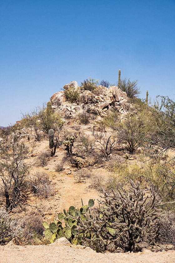 Near Valley View Overlook