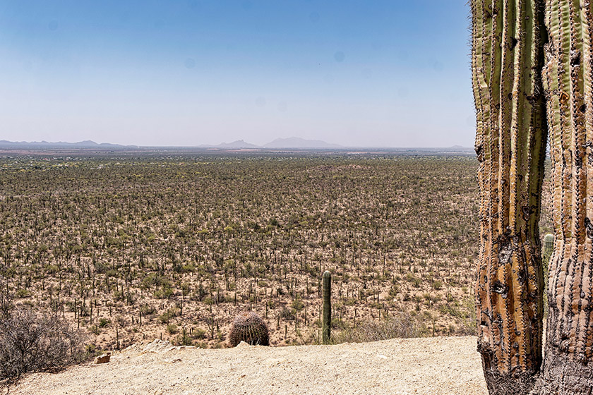 The vista from Valley View Overlook