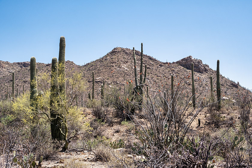 A last look at this typical landscape