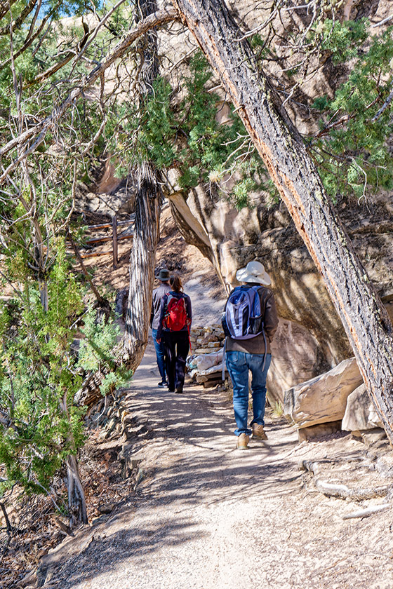 On Mesa Top Trail