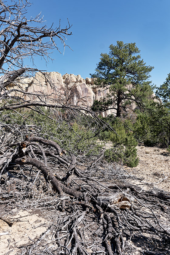 On Mesa Top Trail