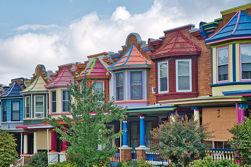 "Painted Ladies" in Charles Village