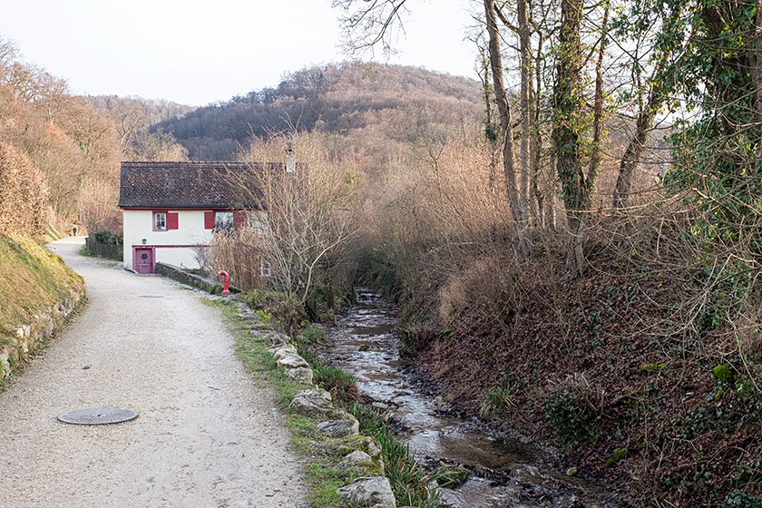 Taking a walk along the village brook