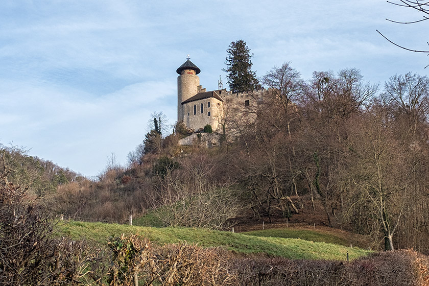 Looking up at Birseck Castle