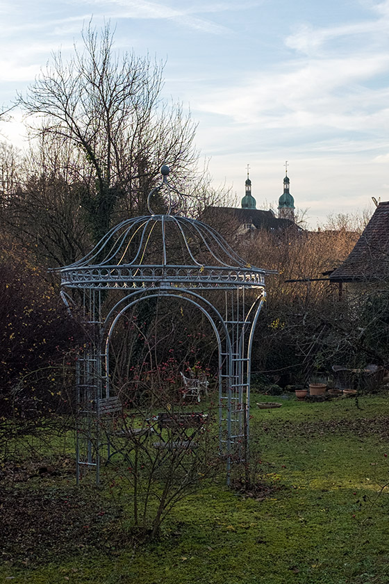 A garden in the evening light