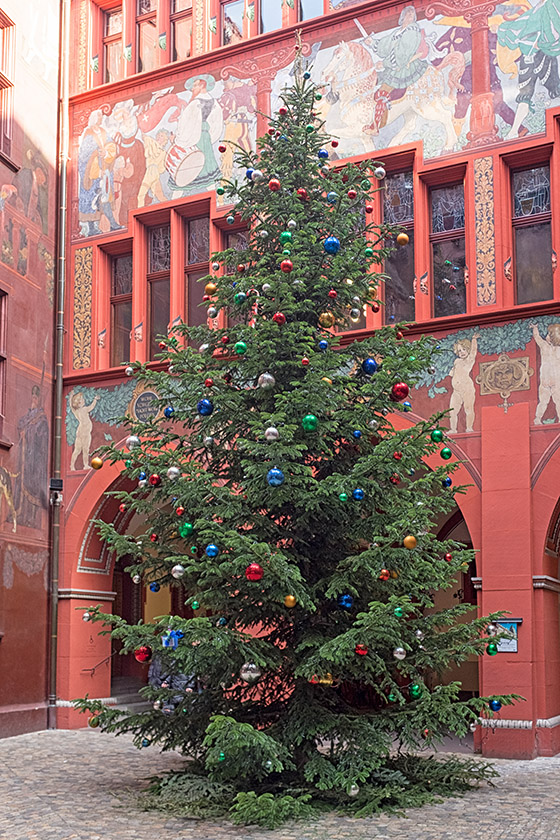Christmas tree in the town hall courtyard