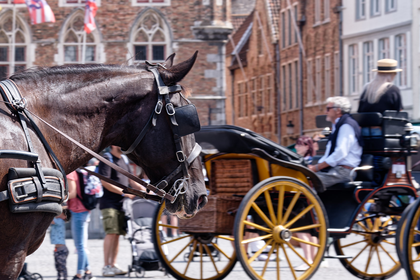 Bidding goodbye to Market Square with its beautiful architecture, horse-drawn carriages, and tourists