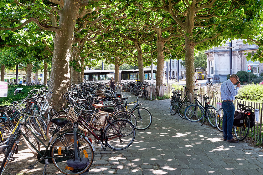 In Belgium, the bicycle is a most popular form of transportation