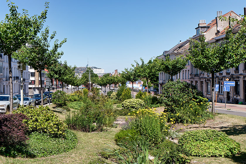 Looking down 'IJzerlaan', Iron Avenue