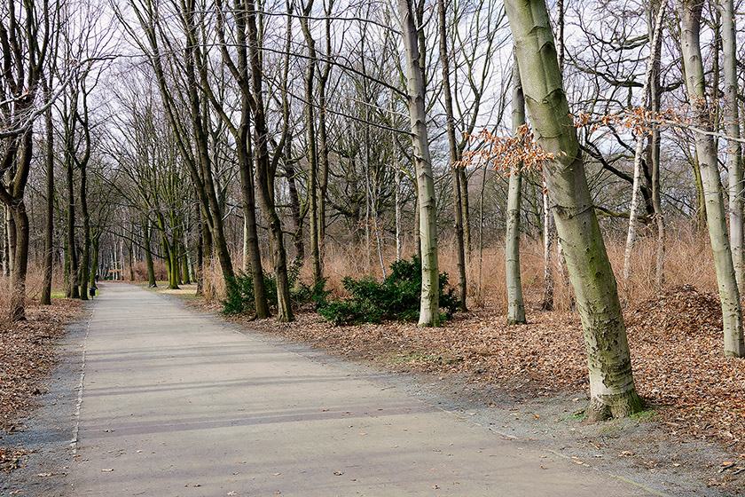 Strolling through the Tiergarten