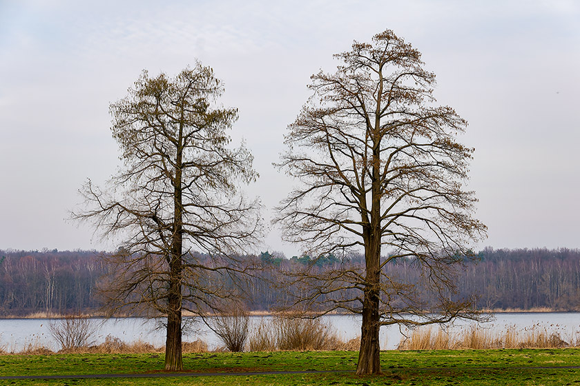 The Jungfernsee