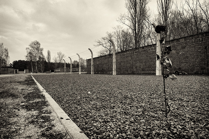 Death strip and fence