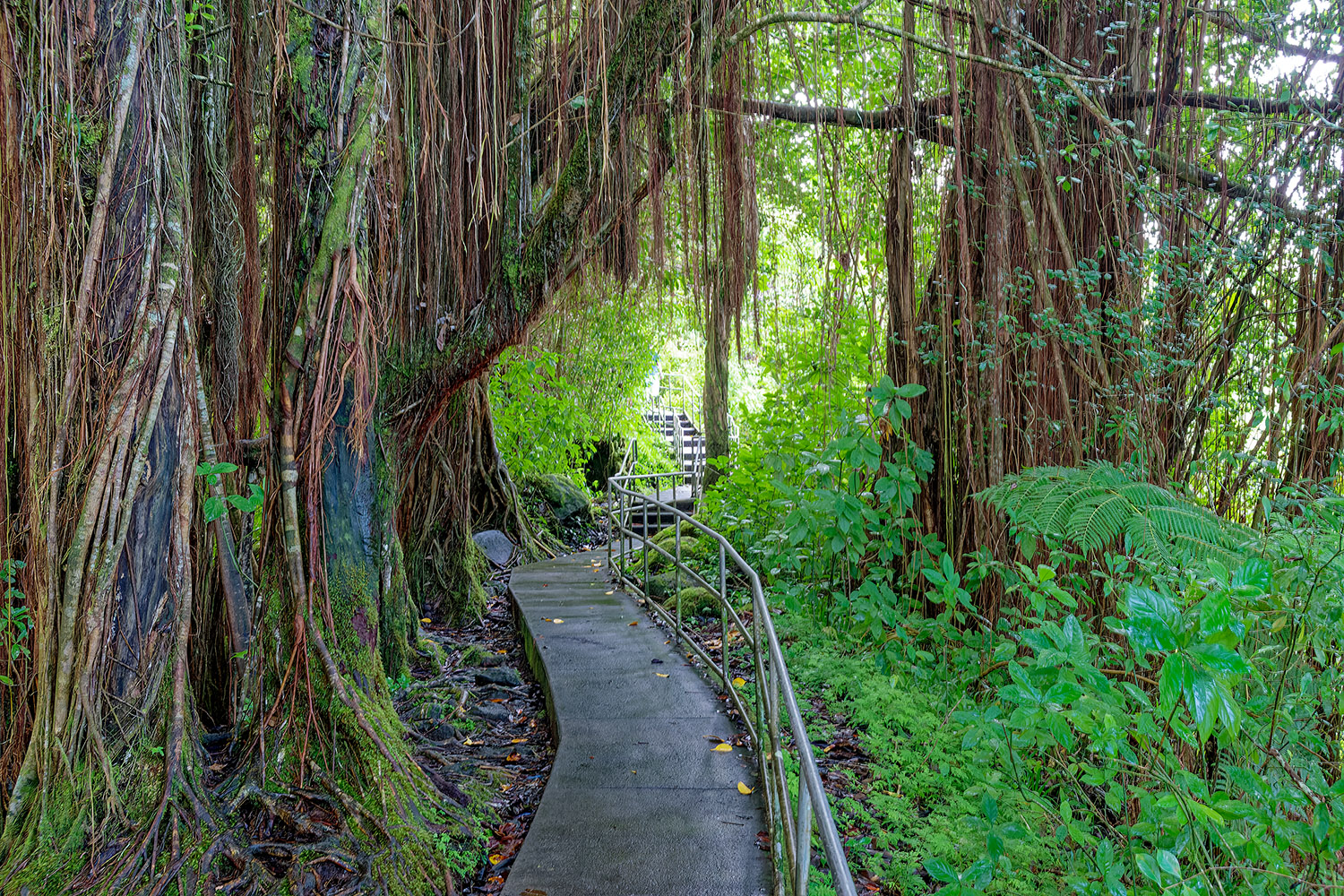 The path is well-maintained and features a guard-rail