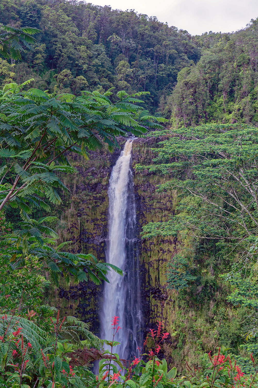 Our first good look of the Akaka Falls