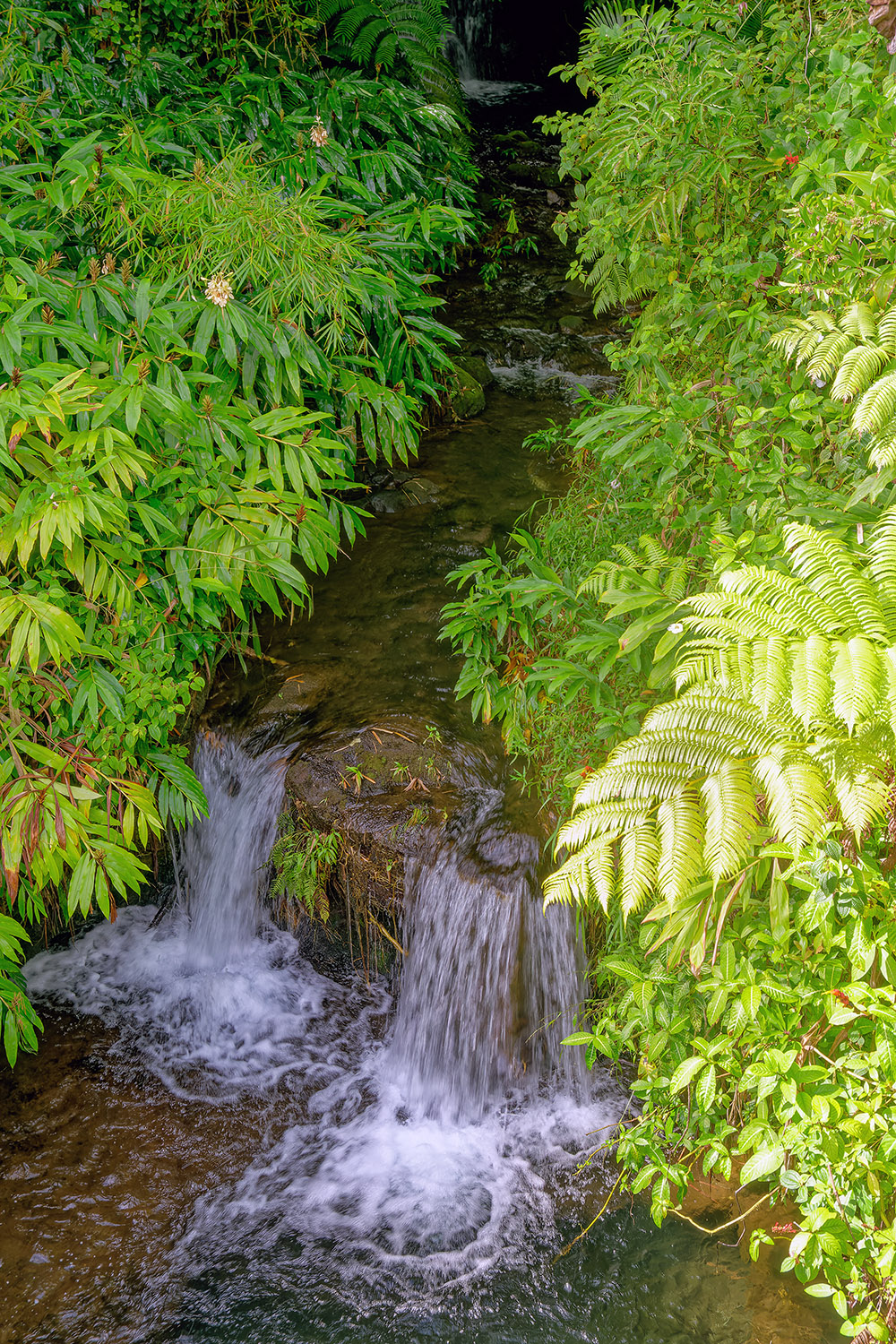 Tiny "waterfalls" near the bottom of the park