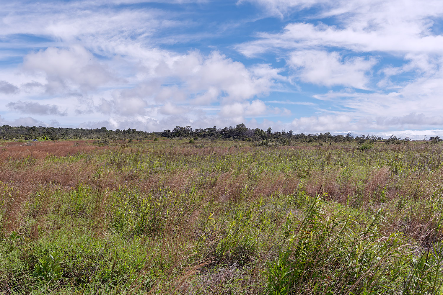 Landscape off Crater Rim Drive