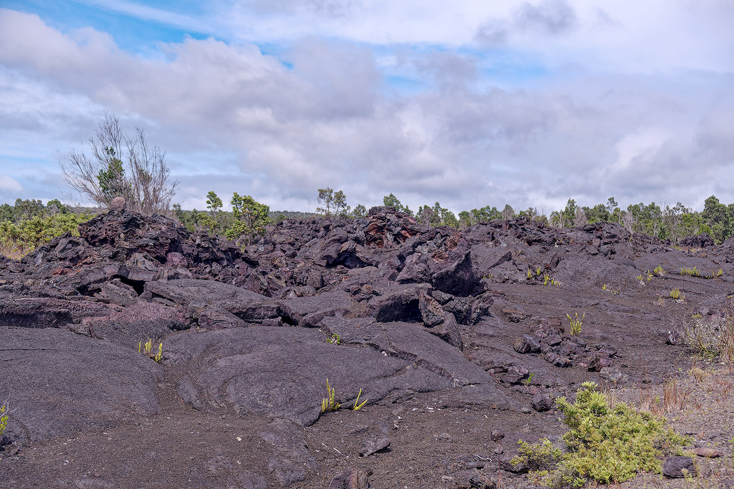 Volcanoes National Park landscape