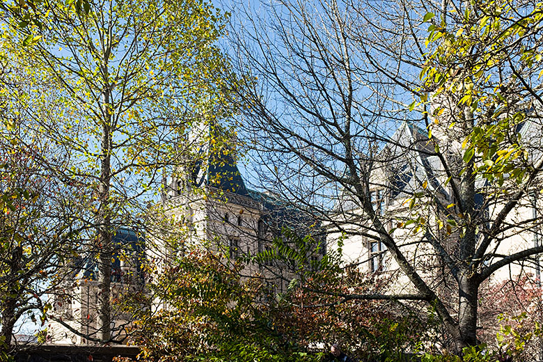 Biltmore House through the trees