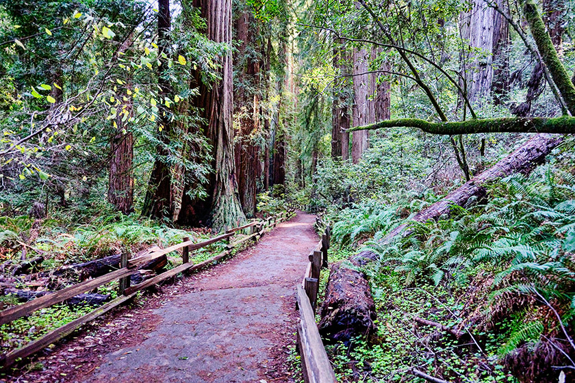 Heading back to the visitor center and the car park