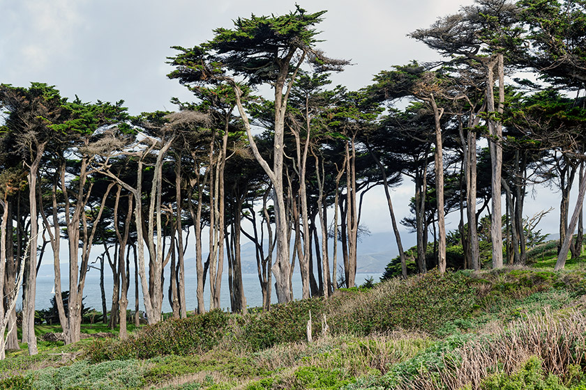 In Lands End Park