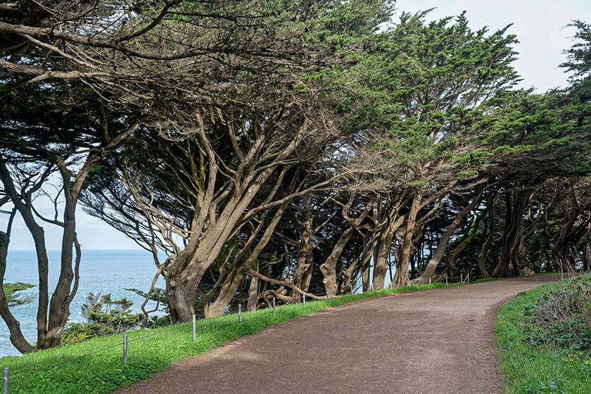 On Lands End Park Trail