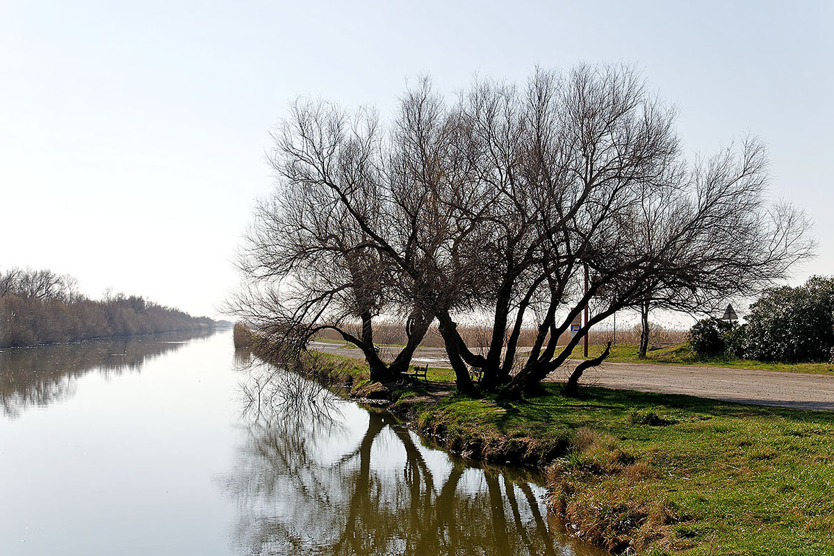 Camargue canal