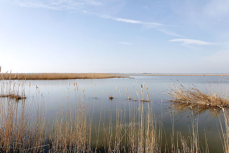 'Etang du Charnier'