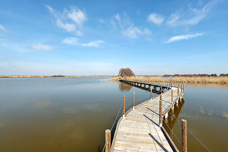 The boardwalk