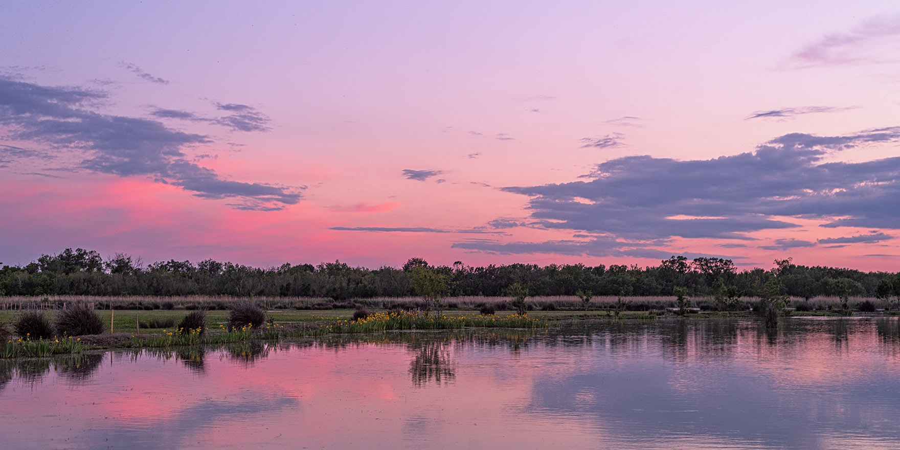 Evening light in the 'Marais du Vigueirat'