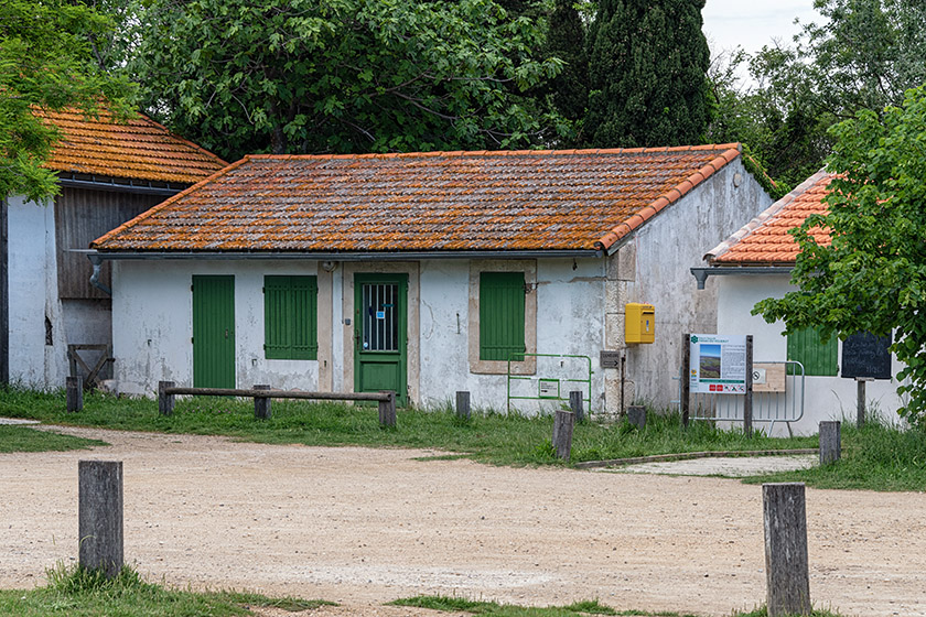 Our meeting point in the Marshes of Vigueirat nature preserve